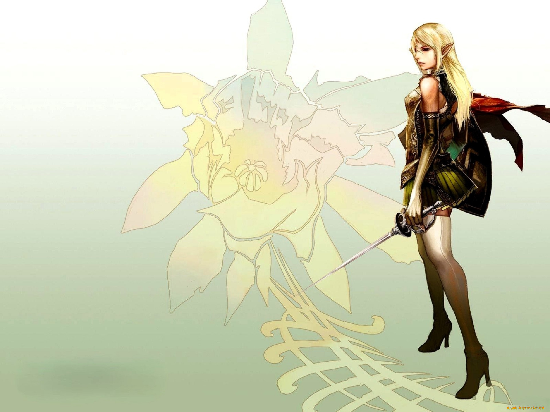  , lineage ii,  the chaotic chronicle, , 